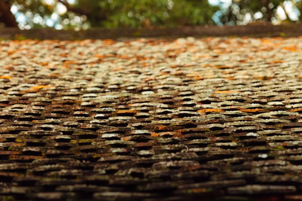 Aging shingle roof with moss growth and granule loss in Missoula, MT